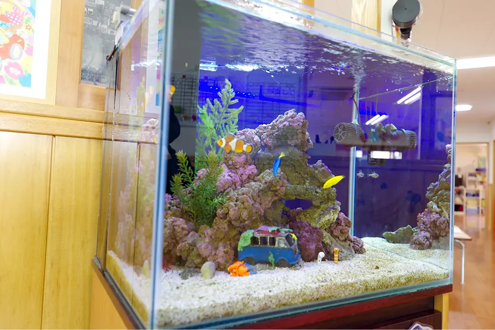 一本松保育園　内観４